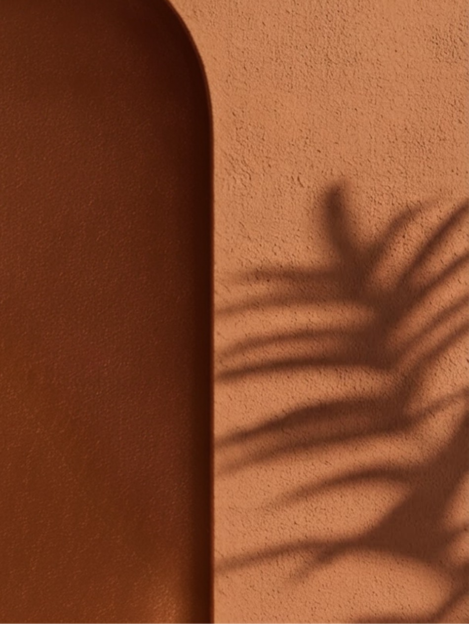 Palm shadow across a terracotta wall beside a rounded pillar — Arca Risk Management